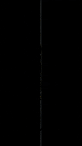 Ams Grips GIF by allmountainstyle