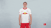 Happy Rb Leipzig GIF by Bundesliga