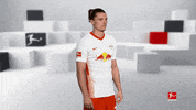 Posing Line Up GIF by Bundesliga