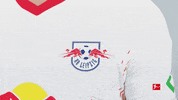 Happy Rb Leipzig GIF by Bundesliga
