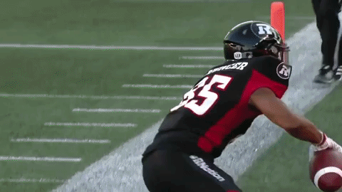 td place football GIF by Ottawa REDBLACKS