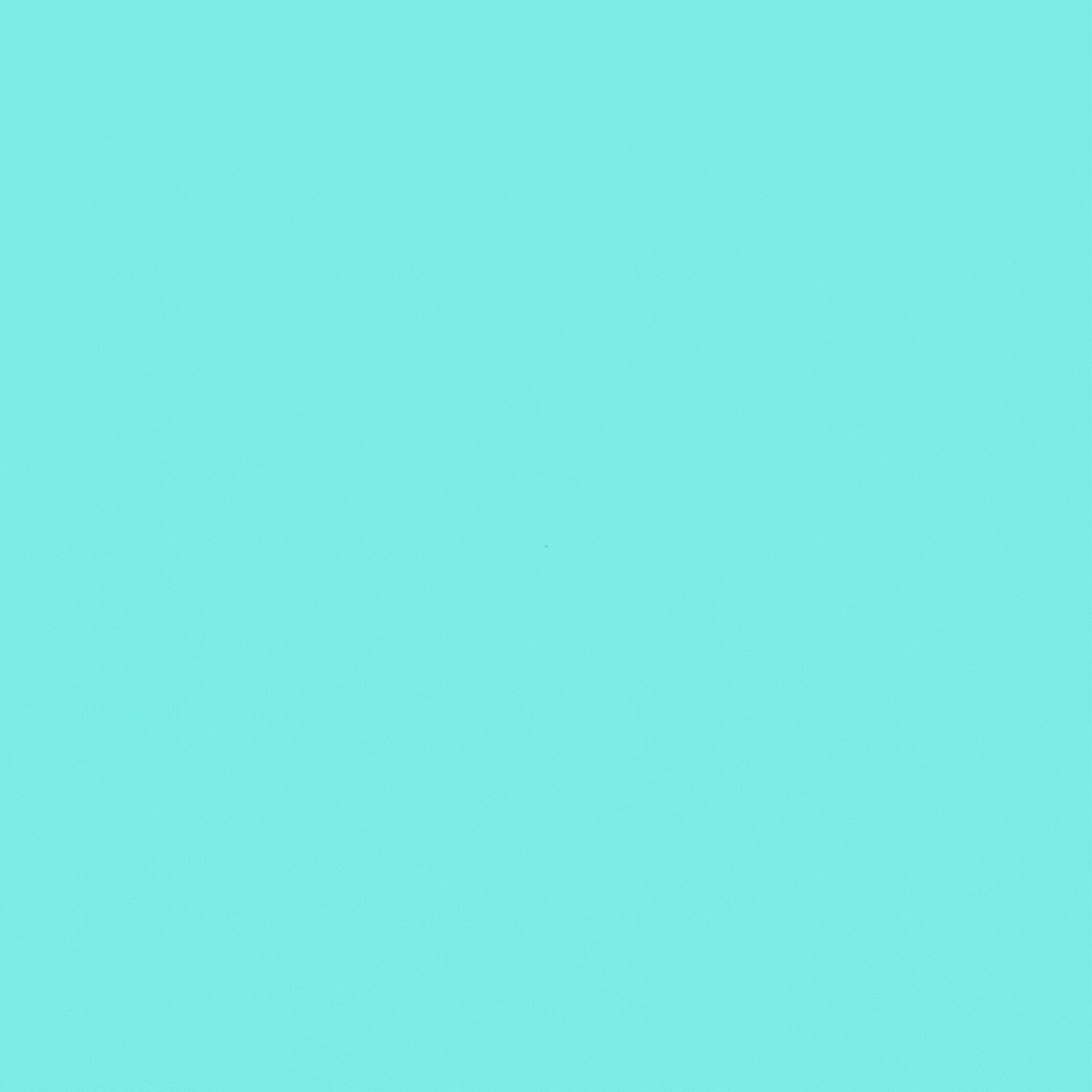 paneraxcreators giphyupload GIF