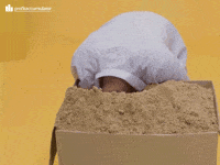 Head Sand GIF by Profit Accumulator