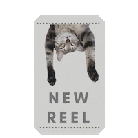 Meru Sticker