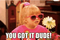 Full House 90S Tv GIF