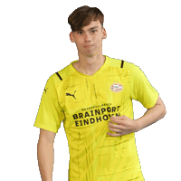 Football Celebrate Sticker by PSV
