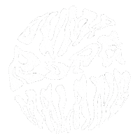 Illustration Loop Sticker