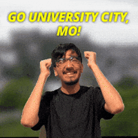 St Louis GIF