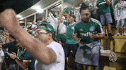 gol GIF by SE Palmeiras