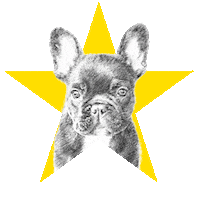 brittanychardpetillustrations bcxx brittanychard Sticker