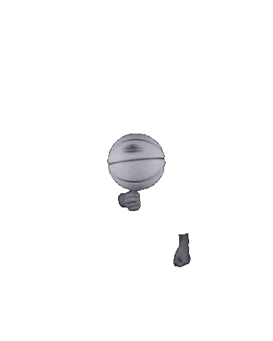 Airball Fsbb Sticker by Bavo Freestyles