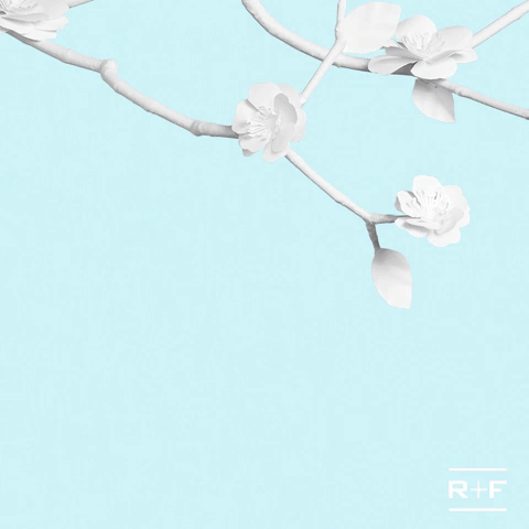 GIF by Rodan + Fields