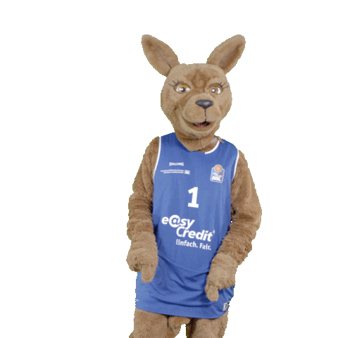 social-media-easycredit giphyupload basketball iloveyou easycredit Sticker