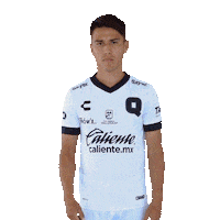 Liga Mx Gallos Sticker by Club Querétaro
