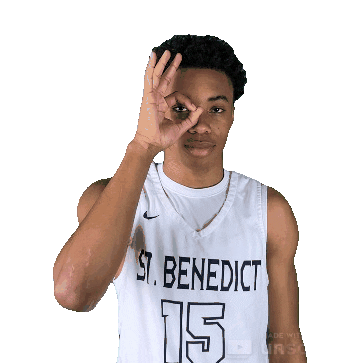 The Nest Goeagles Sticker by SBA Eagles Athletics