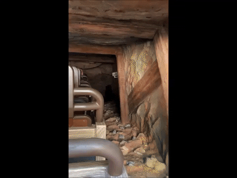 lesleywake giphygifmaker GIF