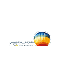 Tersteegeballonfestival Sticker by Ballonfestival Hardenberg