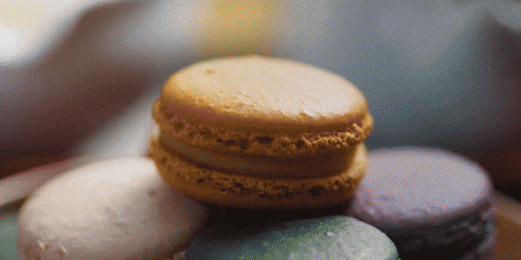 Baym GIF