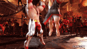 Video Game Wrestling GIF by CAPCOM