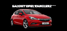 OpelKanclerz combo astra opel corsa GIF