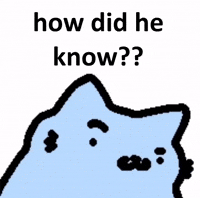 Cat Know GIF