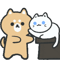 jindaychen cat dog hello meow Sticker