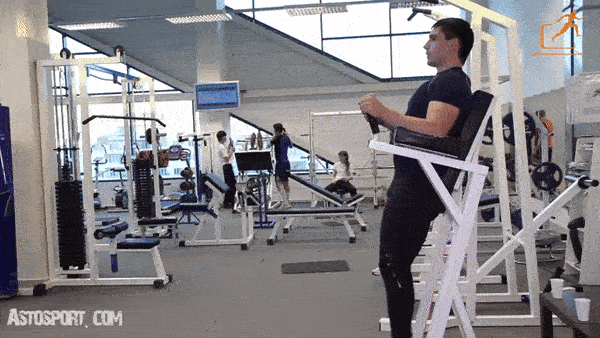 bodybuilding-and-fitness giphyupload press GIF