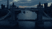 Thanks For Hating GIF by Potter Payper