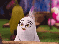 surprise what GIF by Angry Birds Movie