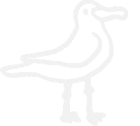 Bird Sea Sticker by Studio Saunio