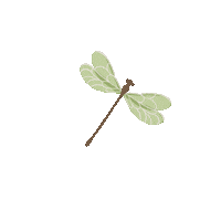 Dragonfly Sticker by Kyte BABY