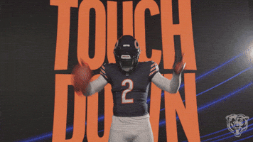 Dj Celebrate GIF by Chicago Bears