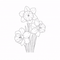 GIF by Tattoo Smart