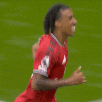 Happy Celebration GIF by Manchester United