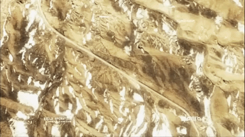 thirtysecondstomars giphyupload 30 seconds to mars this is war giphy30thisiswar GIF