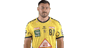Handball-Bundesliga Sport Sticker by LIQUI MOLY HBL