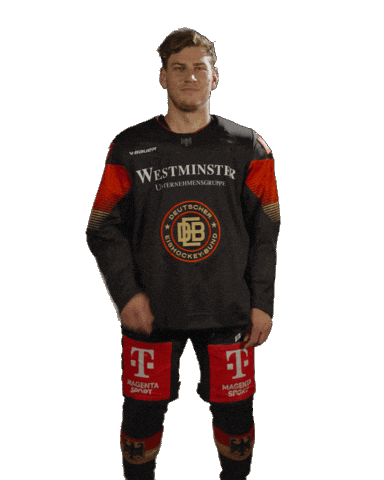 Be Quiet Ice Hockey Sticker by deb_teams