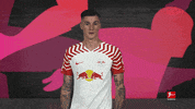 Rb Leipzig Football GIF by Bundesliga