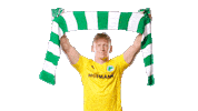 Fans Cheer On Sticker by SpVgg Greuther Fürth