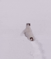 Running In The Snow GIF