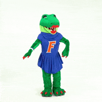 Cant Hear You Get Loud GIF by Florida Gators