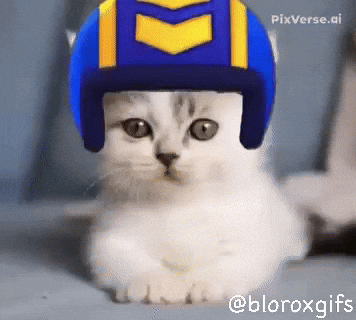 Dance Dancing GIF
