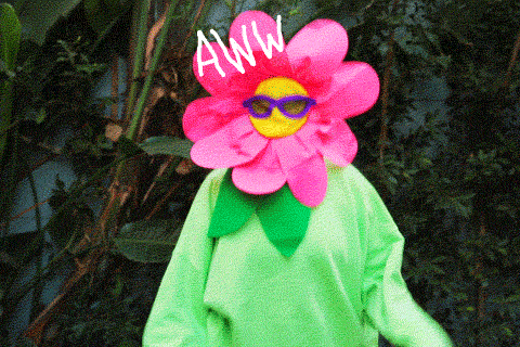 Gif de uma pessoa fantasiada de flor com efeitos de arco-íris saindo das mãos.