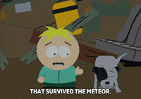 butters stotch dog GIF by South Park 