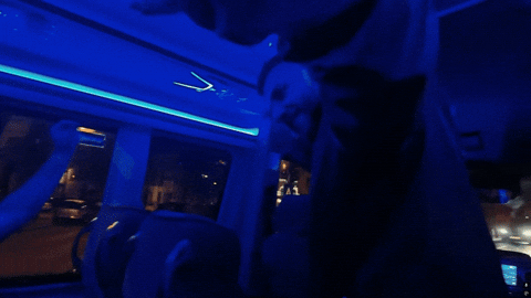 Cs2 Dancing GIF by Aurora Gaming