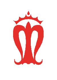 Fisioterapia Enfermeria Sticker by Salus Infirmorum