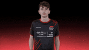 sauberesports what wtf sauber f1esports GIF