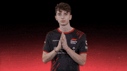 sauberesports easy sauber f1esports sauber esports GIF
