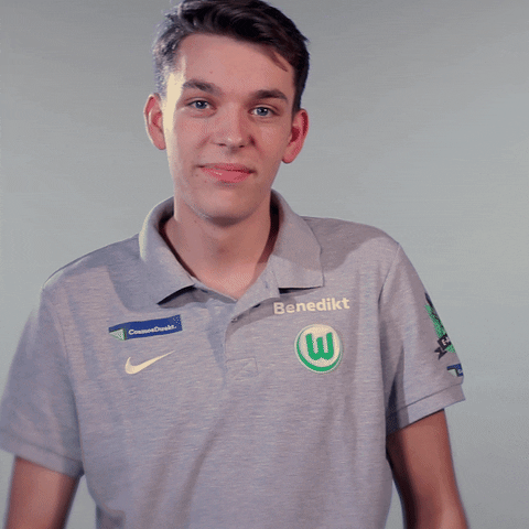 fifa 18 football GIF by VfL Wolfsburg