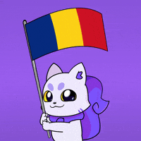 Cluj-Napoca Flag GIF by Lucky Kat Studios